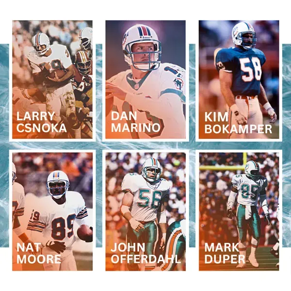 Miami Dolphins